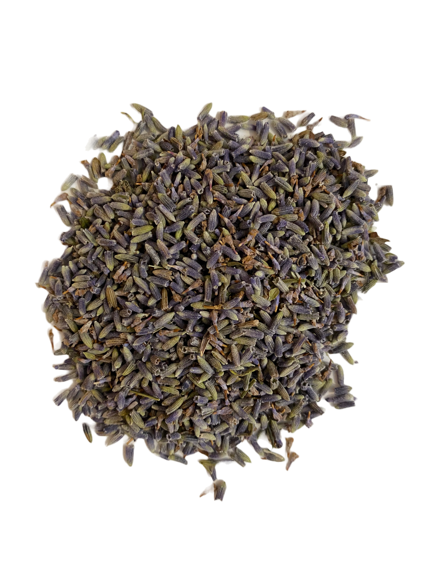 Lavender Flowers